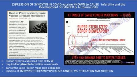 COVID 19 Vaccination And HIV by Dr Judy Mikovitz