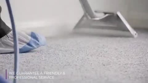 Carpet Cleaner Belfast | Mourne Carpet Care