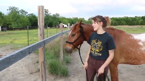 How to Tie a Quick Release Knot for Horses