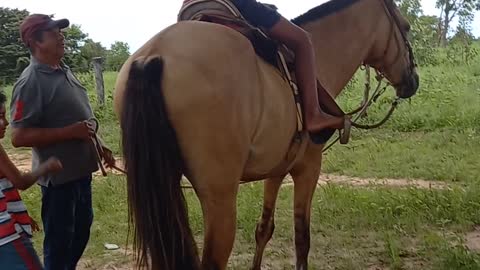 Andando de cavalo pela primeira vez