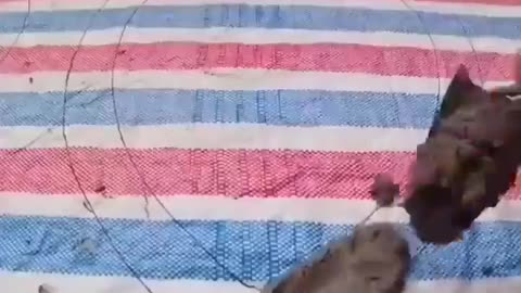 Wait until the End - Amazing Crafting