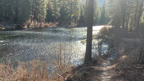 Enjoying the Beautiful Banks of Metolius River – Central Oregon – 4K