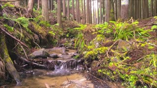 SOOTHING Waterfall sounds for Mental Easing and Destressing.