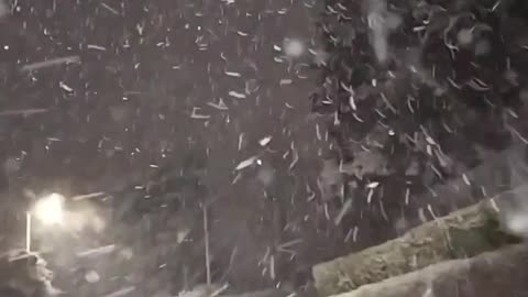 Driving on a snowy evening in Northern Ireland