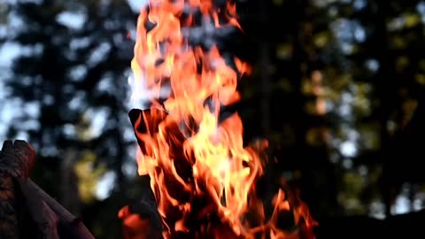 Crackling Mountain Campfire with Relaxing River