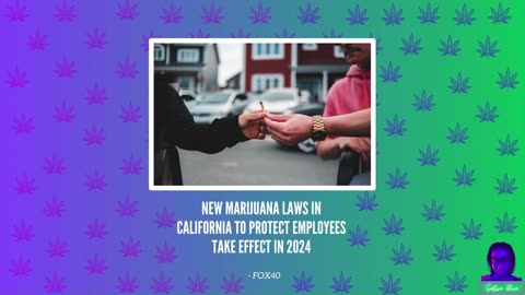 New Marijuana Laws in CA To Protect Employees Take Effect in 2024