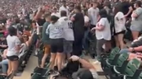 Knuck If You Buck” Plays At A White Sox Game While A Fight Breaks Out
