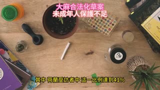 大麻合法化草案 未成年人保護不足