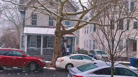 Snowfall in New haven CT USA🙋🇺🇸🇵🇰