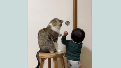 Cat Blocks Little Boy's Door Opening Attempts