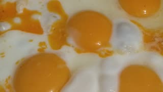 5 fried eggs, yummy and scrumptious | Carnivore Club