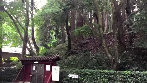 Japanese park has automatic doors at entrance