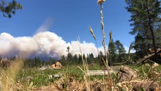 Dixie Fire Smoke Plume from Butte Meadows