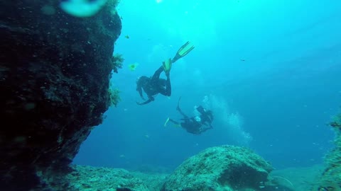 Scuba Diving in Under Water