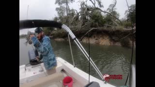 Beaufort Sheepshead