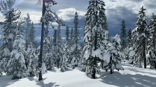 Climbing Up Thick Fluffy Snow – Central Oregon – Vista Butte Sno-Park – 4K