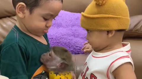 Sweet Moments: Baby Interacts with Curious Monkey
