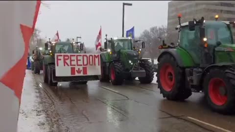Convoy for freedom hits Alberta, all major cities hit by freedom protesters