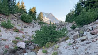 Oregon – Mount Hood – Mountain Peaks from Alpine Trail