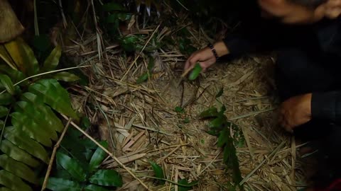 Penarikanbendapusaka di bambu kuning yang angker Kalianda Lampung Selatan