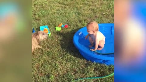 Riendo Bebés Jugando Con Perro y Agua|| Gracioso Bebé