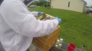 May 23, 2024 Hive Inspection Part I