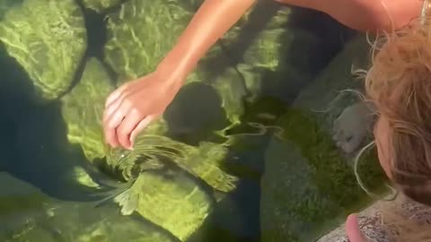 A Mesmerizing Whirlpool