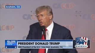 President Donald Trump: "All of that crazy stuff will be stopped"