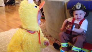 Guitar playing toddler fireman attempts serenade of would be girlfriend dressed as a chicken