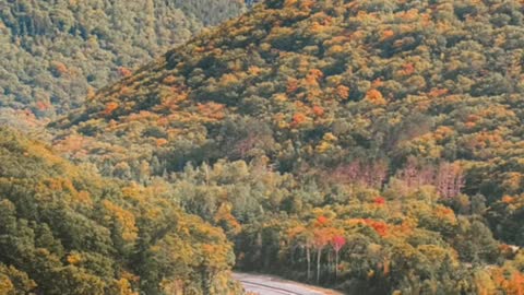 capturing the fall foliage on film