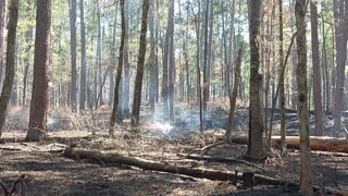 Fire Mission Tejas State Park