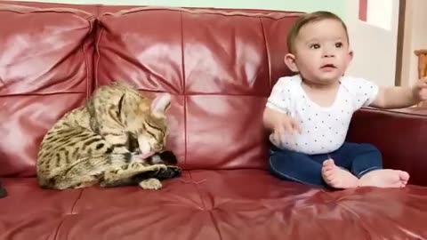 Cute baby and cat fun