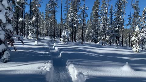 In the Foothills of Mount Bachelor – Central Oregon – Swampy Lakes Sno-Park