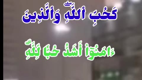 Surahalbaqrah ayat 165 telawat with urdu translation