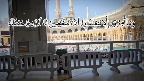 Surah Bayyinah | Best Qirat | Tilawat E Quran | Beautiful Voice | Amazing Quran Recitation