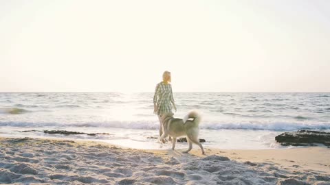 Young female playing with siberian husky dog on the beach at sunrise