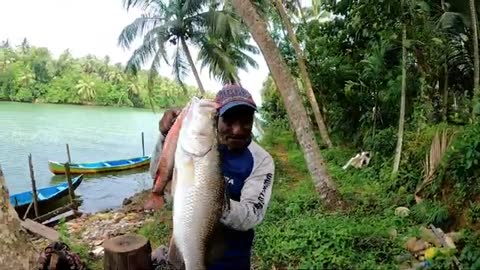 barramundi fish catching