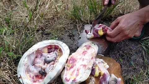 The Dayak Tribe Prepares Snacks from Hunting and First Turtle Meal in a Forest Hut
