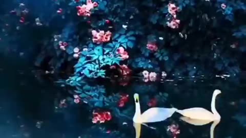 Amazing Nature And Beautiful Birds #shorts #viral #shortsvideo #video