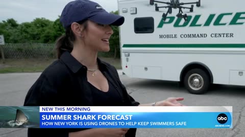 Summer shark forecast_ How officials plan to keep swimmers safe during EXCLUSIVE ABC News