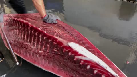 Luxurious sashimi! Giant bluefin tuna cutting show / 巨大黑鮪魚切割秀,鮪魚金三角 - Taiwanese Food