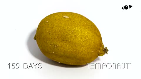 Timelapse Lemon