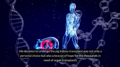 "Man 'Recovering Well' After Pig Kidney Transplant: A Major Milestone in Organ Transplantation"
