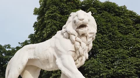 Lion Park Statue Sculpture White Stone Marble