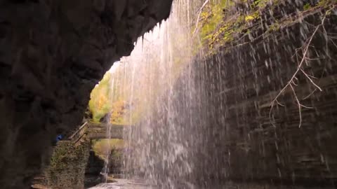 Enchanting Autumn Forests with Beautiful Piano Music