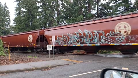 BNSF Railroad crossing. Saturday, ‎November ‎4, ‎2023. *motion warning, moving train* #ASMR #SHORTS