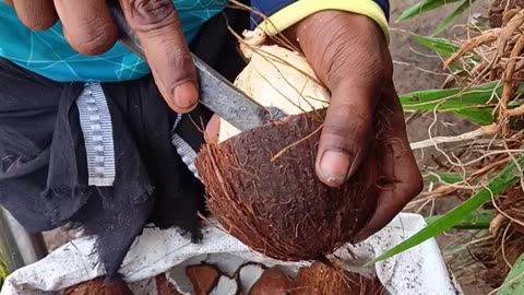 Amazing Street food coconut fluffy and creamy in taste