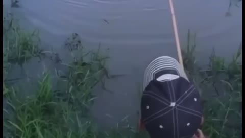 A pesca 🎣
