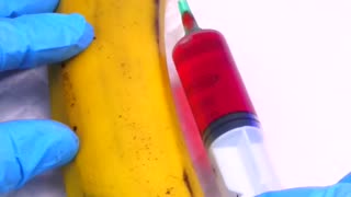 Banana is alive Needs sugical operation Save berry #shorts