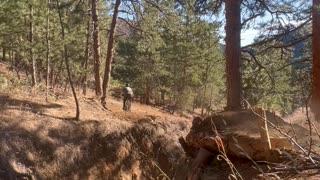 Guy on Bike Hits Tree